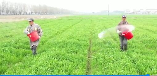 龍潤豐（中文）